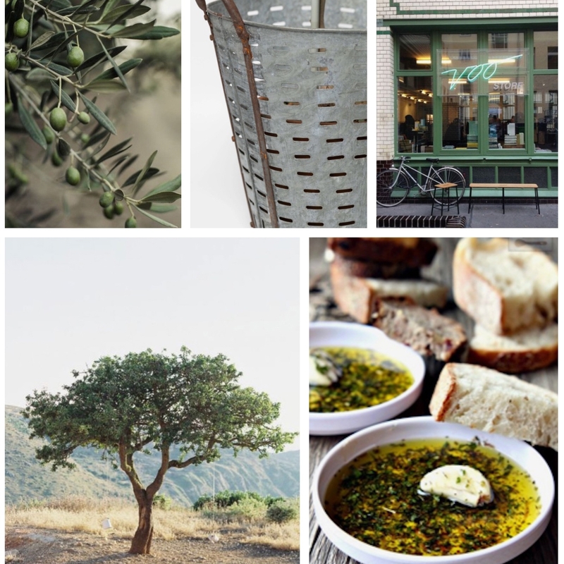 Wild Olive Mood Board