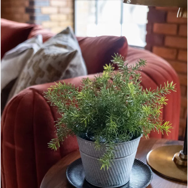 industrial lounge with touch of greenery