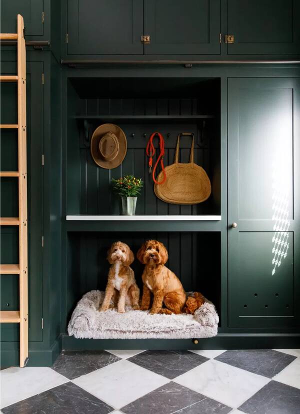 Cabinets with dog bed