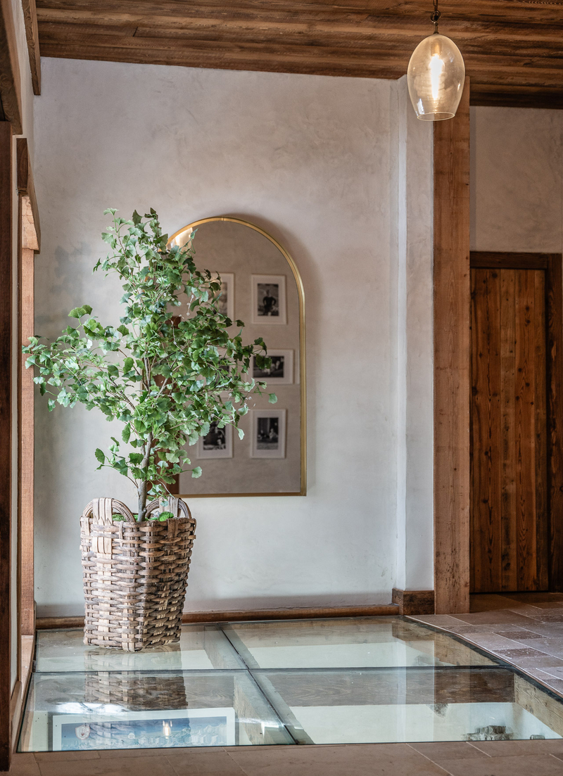 Ski Chalet Entrance Plant And Mirror