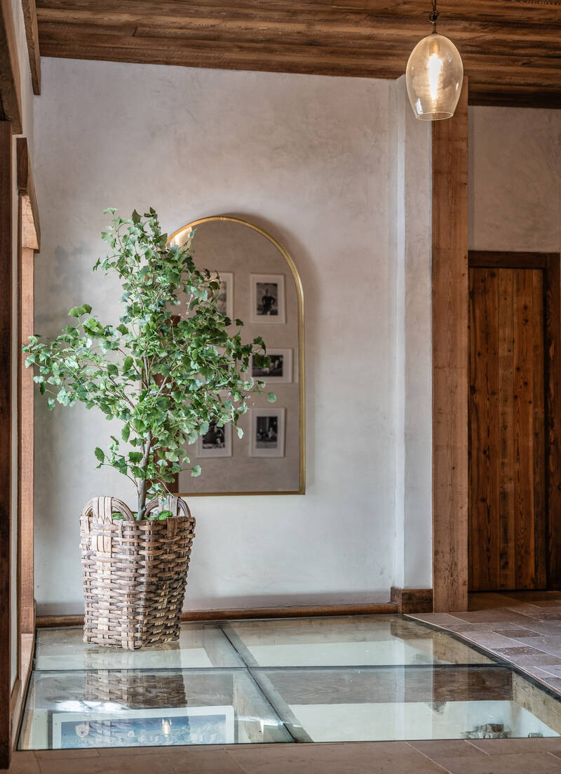 Ski Chalet Entrance Plant And Mirror